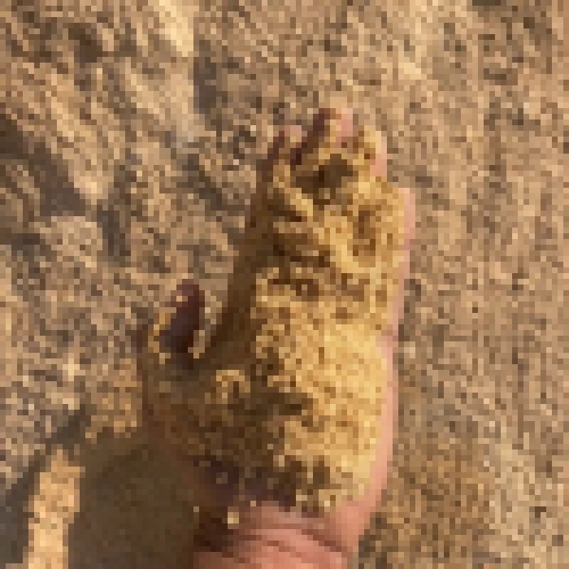 Areia Grossa (Apenas para retirada local)