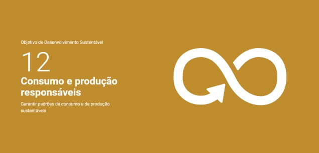 Objetivo de Desenvolvimento Sustentável 12: Consumo e Produção Responsáveis