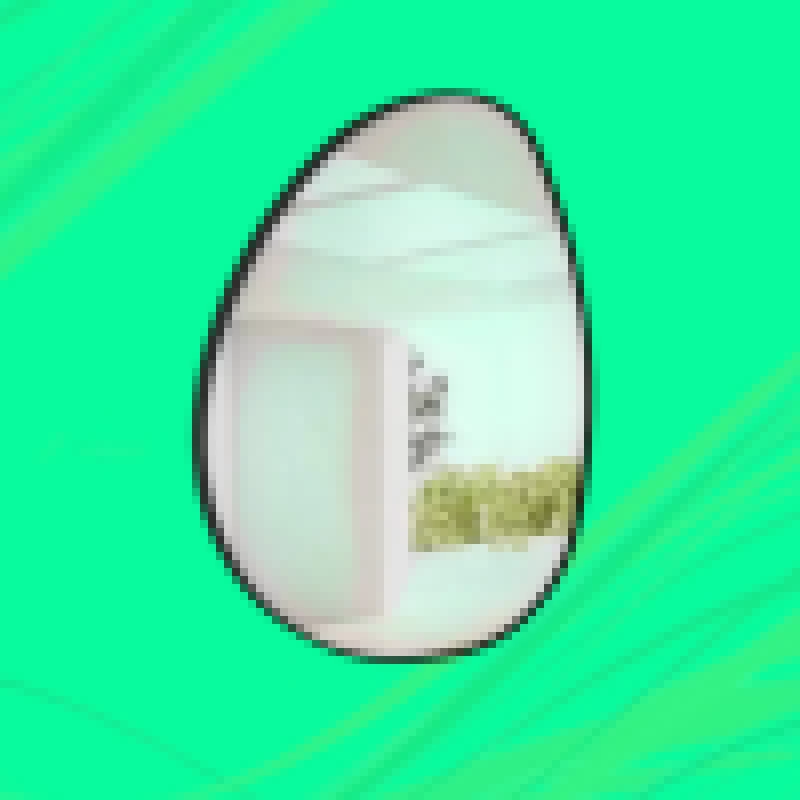 Espelhos